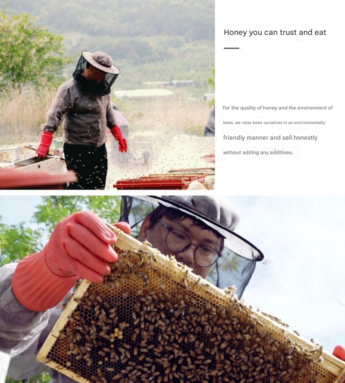 Pure Blossom Honey Sticks – Nature's Sweetest Gift